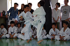 sjun (136)_thumb.png
